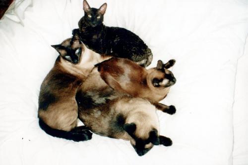 1990s_from David_0018_a