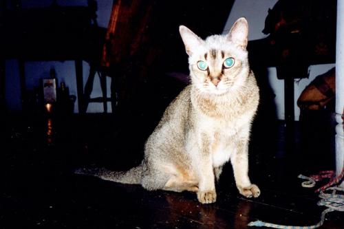 1990s_from David_0030_a