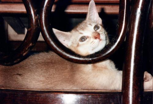1990s_from David_0044_a