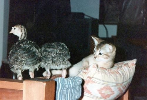 1990s_from David_0045_a