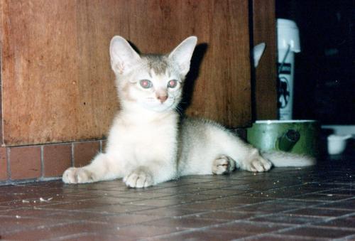 1990s_from David_0046_a