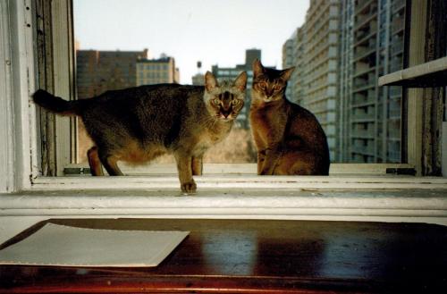 1990s_from David_0047_a