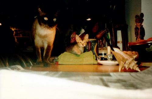 1990s_from David_0050_a