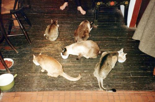 1990s_from David_0051_a