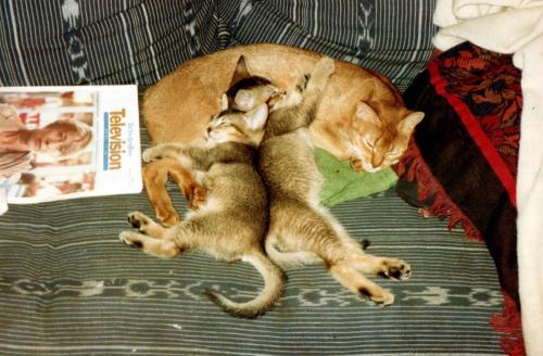 1990s_from David_0052_a
