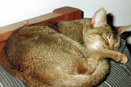 1990s_from David_0053_a