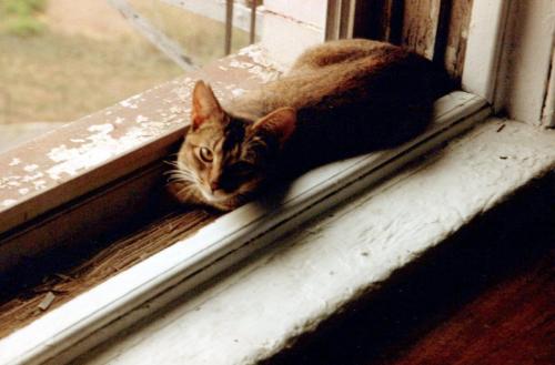 1990s_from David_0054_a