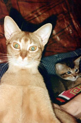 1990s_from David_0055_a