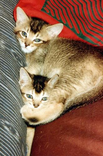 1990s_from David_0056_a
