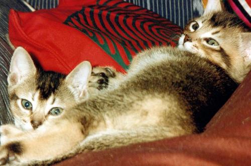 1990s_from David_0057_a