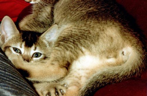 1990s_from David_0058_a