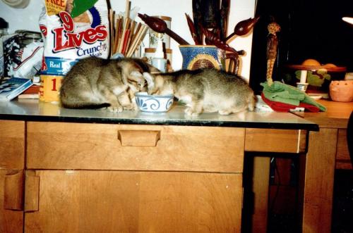1990s_from David_0060_a