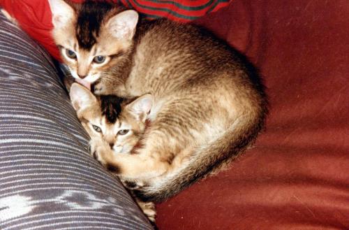 1990s_from David_0062_a