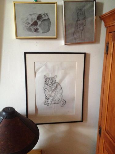 Cats by Yasso
