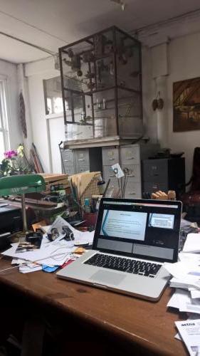 The desk